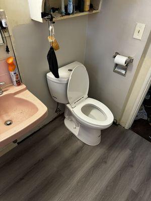 Floor restored,  new plumbing installed, new toilet in place. Just a few details to finish.