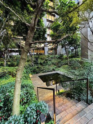 Stairs to central atrium pond