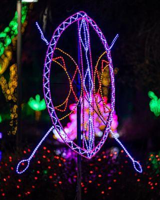 River of Lights at ABQ BioPark & Botanic Garden