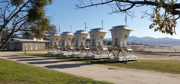 Lifeguard Towers