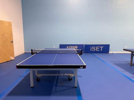 Table tennis academy