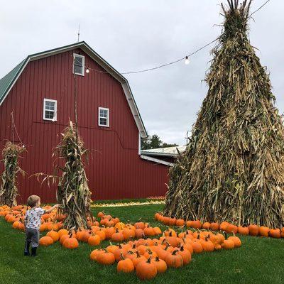 Bauman's Farm Market