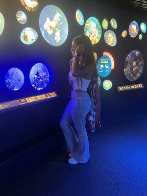 Jellyfish exhibit