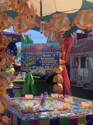 4th of July Carnival weekend