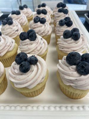 Boothbay Blue cupcakes