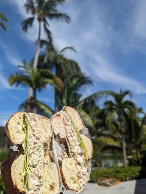 Chicken salad on an everything bagel