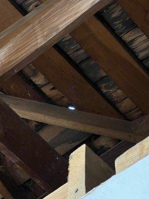 Hole in roof above laundry room