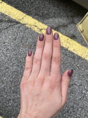 Shellac Manicure