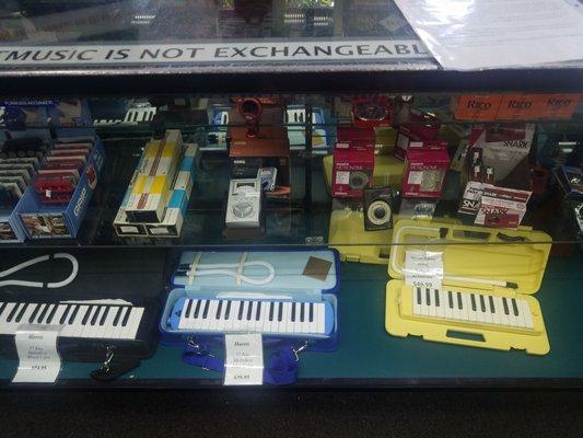 Need a Melodica, metronome, or recorder?