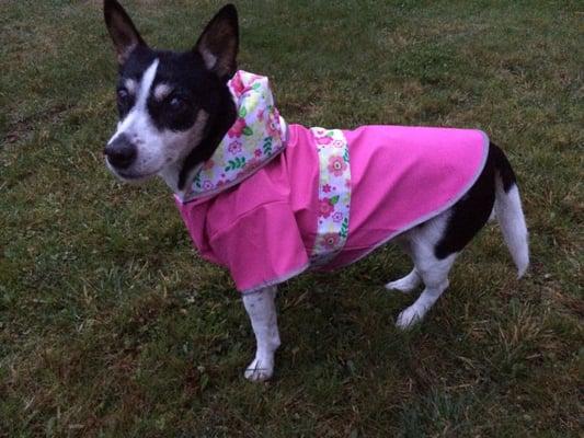 Miss Penny sporting her fashionable raincoat