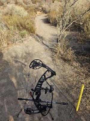 Hoyt VTM - Cameron Hanes Edition