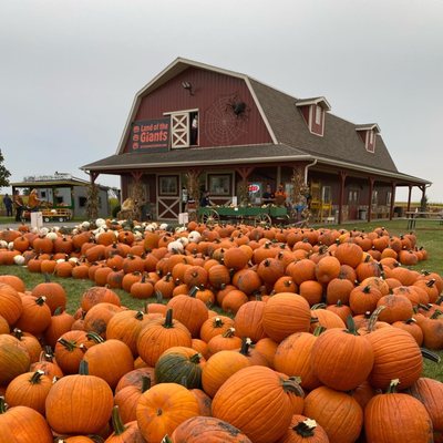 Creuziger's Land of the Giants Pumpkin Farm