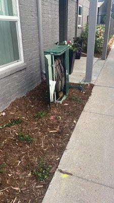 The electrical box that I mentioned twice being open