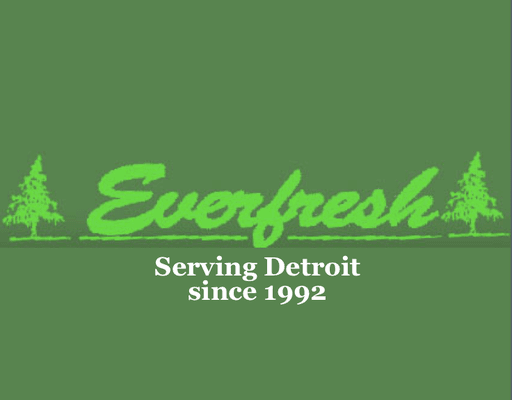 Everfresh Carpet & Upholstery Cleaning