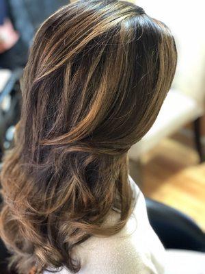 From darkest brown to caramel blonde. By Lori