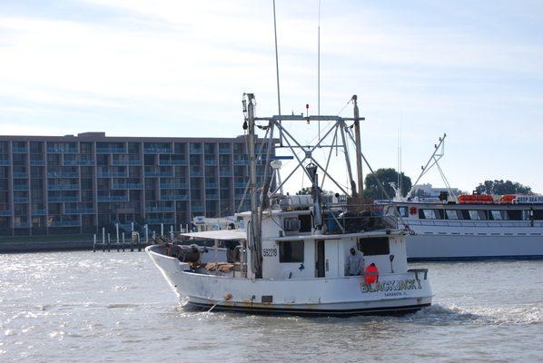 The Black Jack 1leaving to catch some fish!