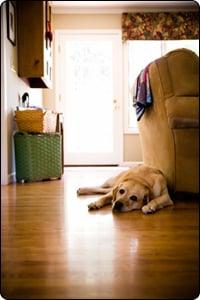 custom hardwood floor installation and refinishing services