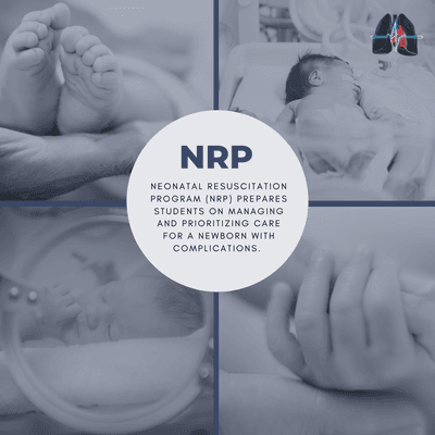 The Neonatal Resuscitation Program (NRP) prepares students on managing and prioritizing care for a newborn with complications.