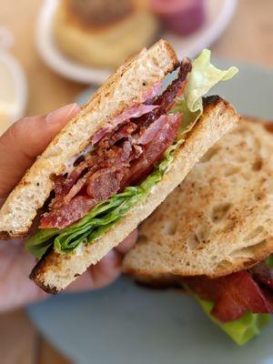 Mainstay BLT