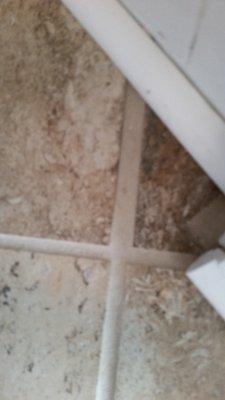 Uneven grout lines and tiles, numerous places