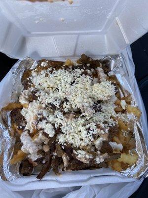 GYRO FRIES THIS IS BUSSINNNN