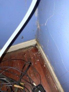 Mold/wall crumbling... never fixed.