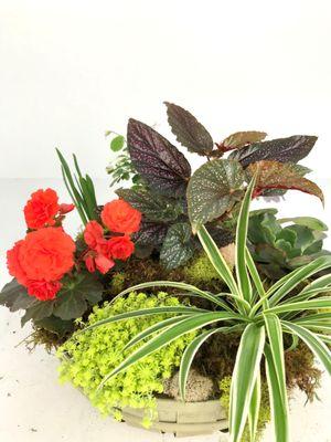 https://www.edwardsgreenhouse.com/flowershop-order-online/p/edjinw5fi1n0d1iuelbaqkuy7pgcab