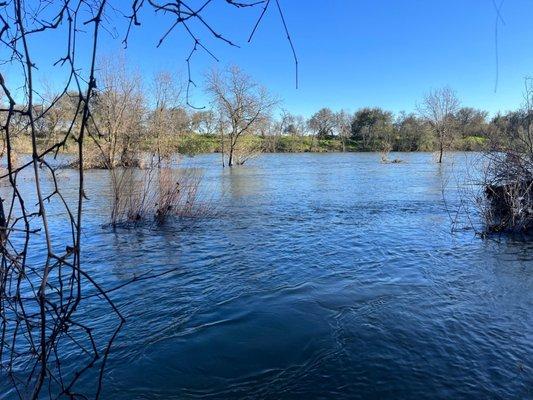 American River at Ancil Hoffman Park entrance. After the rains. Note: we usually sit in front of the trees in the center of the picture!