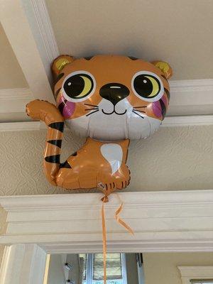 Animal Balloons!