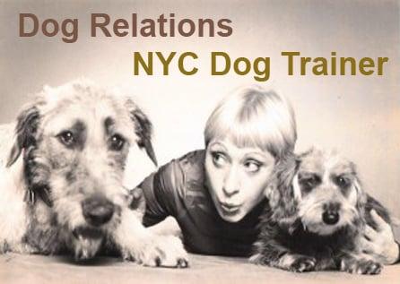 NYC Dog Trainer - DogRelations