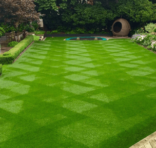 Lawn trimmed After Result.