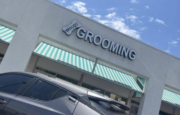 Pet grooming.  Recommend this place. Very clean,  excellent care on handling pets