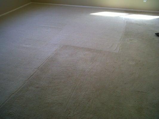 Before/After Carpet Cleaning