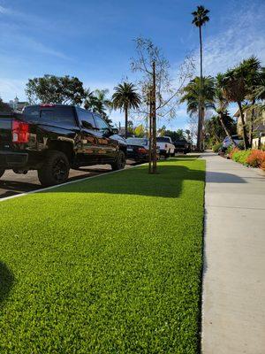 Fake Grass on a boulevard in Huntington Beach.