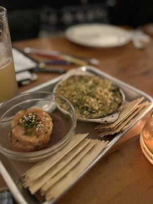 Salmon Tartare and spinach & artichoke dip