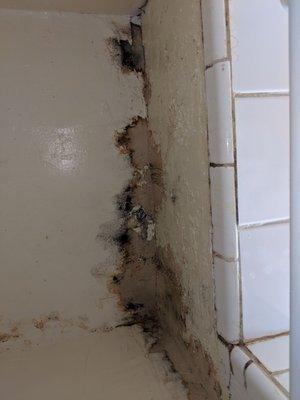 Look up and see mold. *make sure you read the review. don't count the place out if your budget is limited. More mold