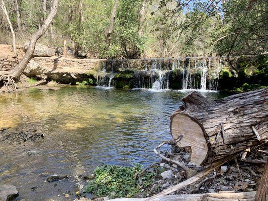 Damn at the creek with small fish and gorgeous views.