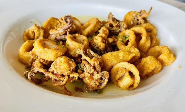 Calamari