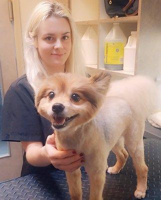 Chip loves our groomer Denise!