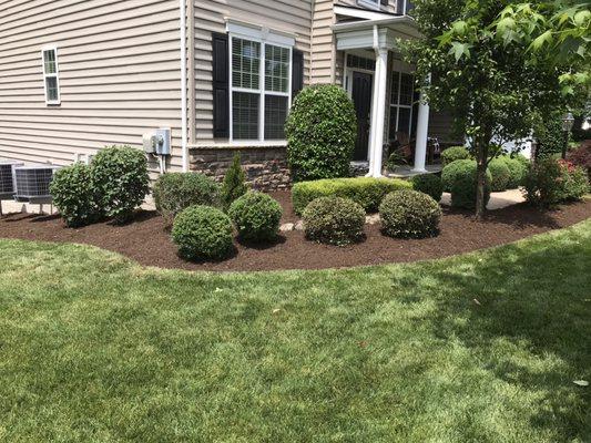 Mulch and pruning