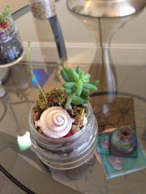 My teensy terrariums.