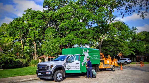 Tree Pruning Crew