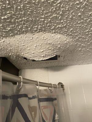 Beginning of the ceiling leaking.