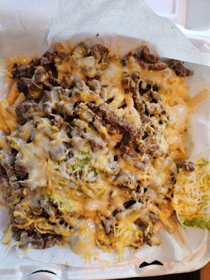 Carne Asada fries