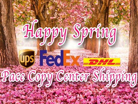 Happy Spring From Pace Copy Center