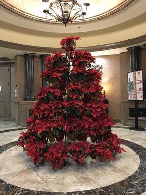 Poinsettia Christmas Tree In the lobby