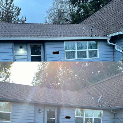 LeafDrop Gutters and Downspouts