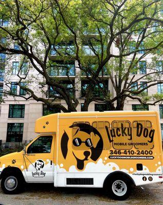 We come to you! Whether you're in an apartment, house, or business we make grooming an easy part of your busy life!