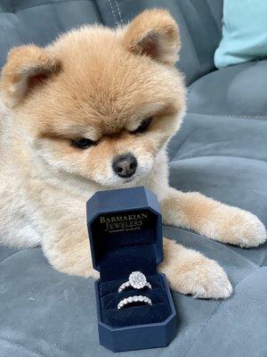 Diamonds and a Pomeranian. What more could a girl ask for?