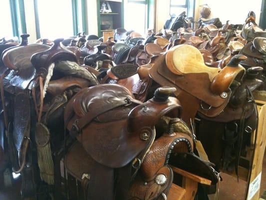 Saddle Room